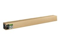 Epson Fine Art Textured Bright - Bomull - matt - 515 mikroner - Rull (162,6 cm x 15 m) - 300 g/m² - 1 rull(er) klutepapir - for SureColor SC-P20000, SC-P20000SE C13S450287